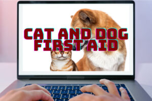 Cat and Dog First Aid Online Training Course